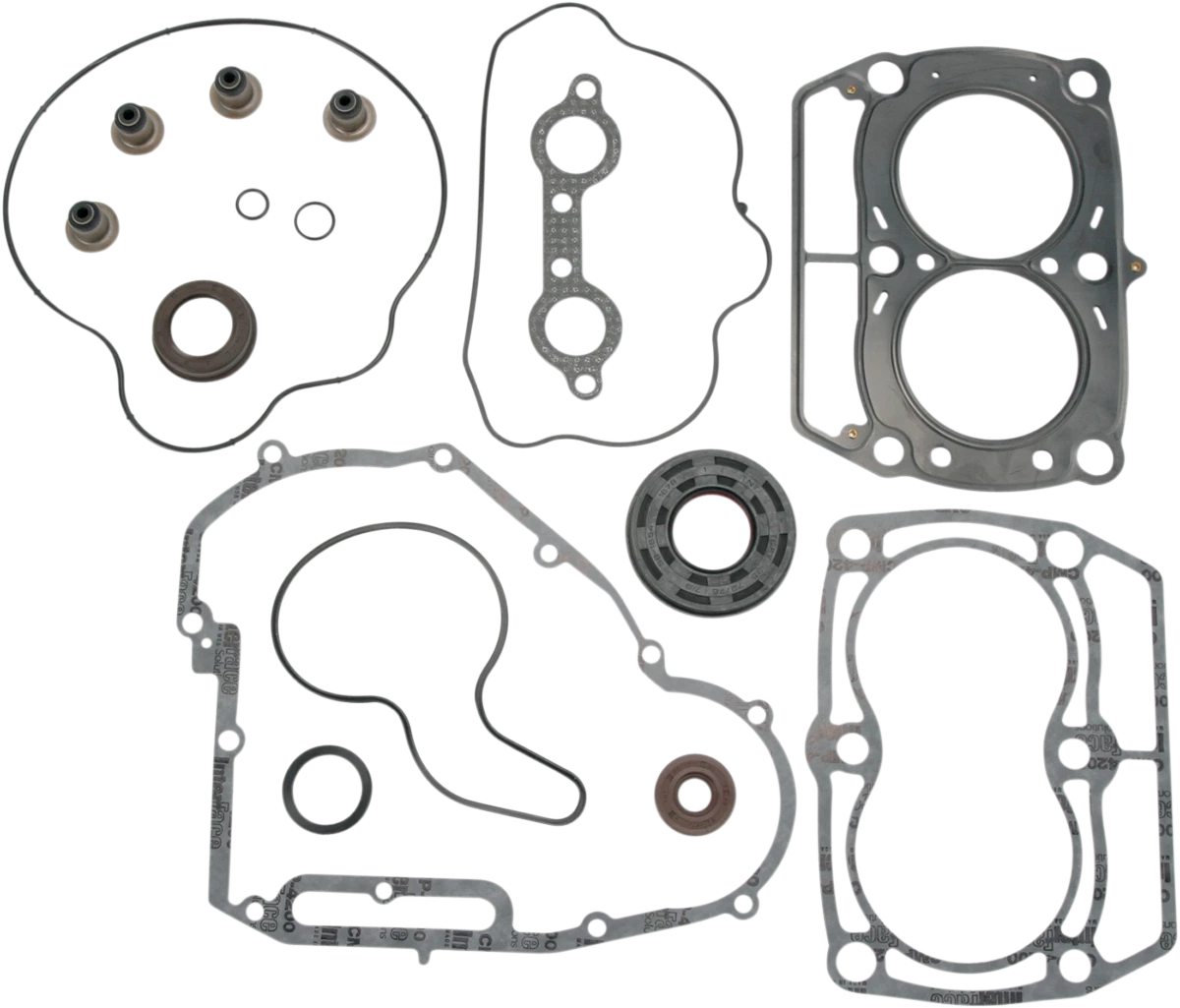 Motor Gasket Kit with Oil Seal for Polaris (811945mse)