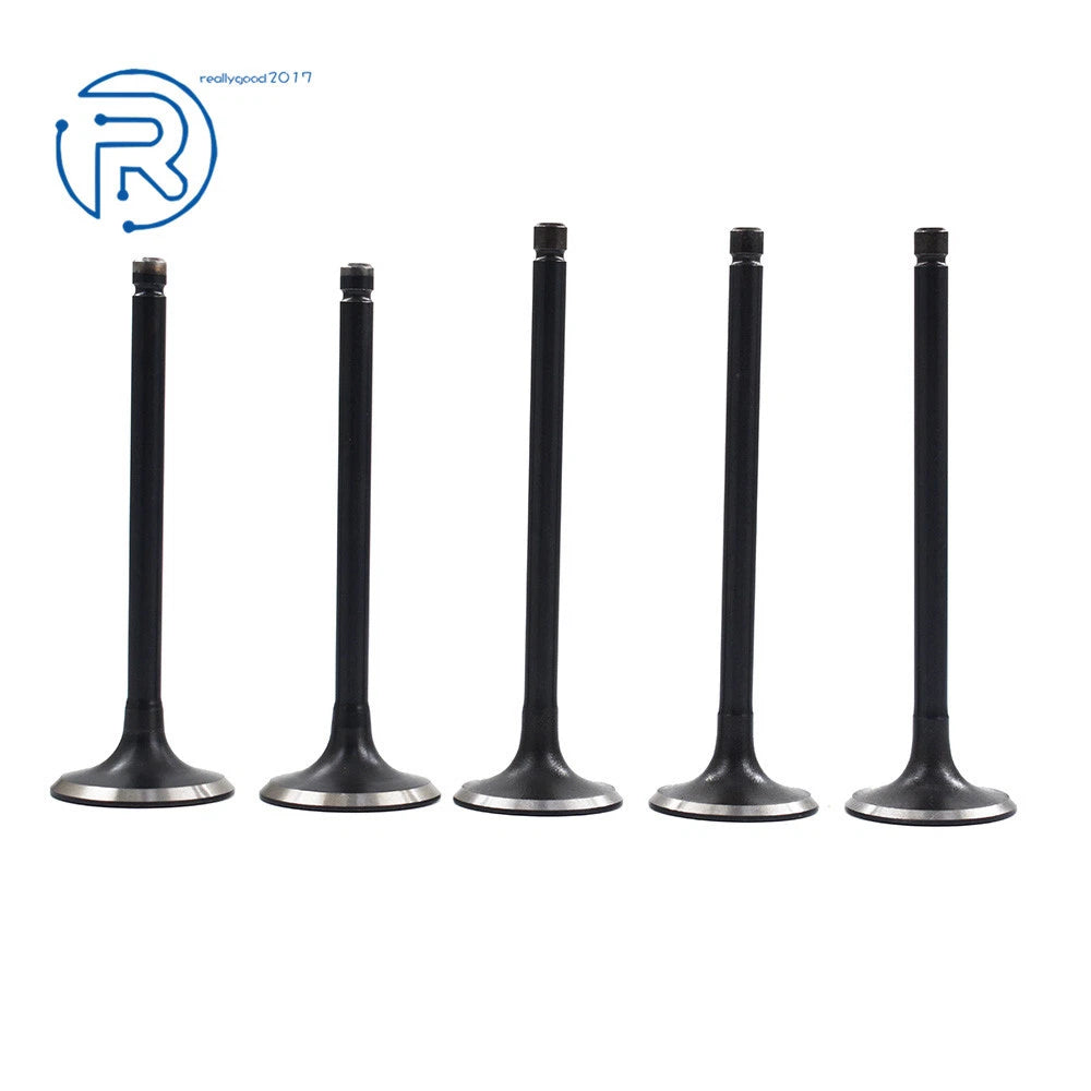 Engine Intake and Exhaust Valves for Yamaha Raptor 660R (2001-2005)