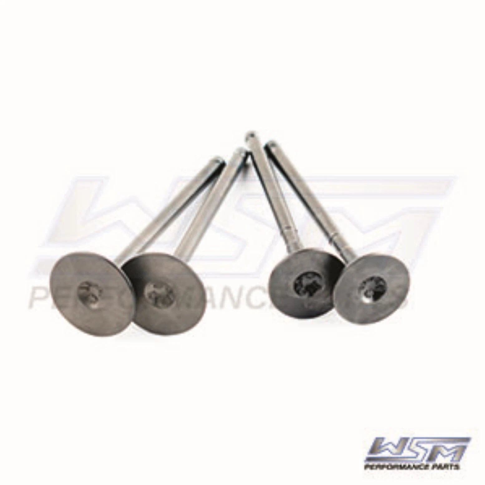 WSM Engine Valve Kit for Polaris 400 500 (1996–2014) 017-401