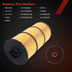 Oil Fuel Filter for Freightliner Cascadia (2007-2023)