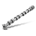 Exhaust Camshaft for Kia Forte, Hyundai Veloster/Kona 2.0L (2017–2021) 242002E074