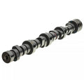 Camshaft for 2009-2024 Dodge Ram 1500 (2009-2024)