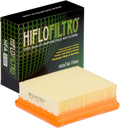 HIFLOFILTRO Air Filter for KTM (HFA6302)