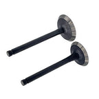 Exhaust Valve Set of 2 for EX17 EX21 (Compatible with Multiple Applications)