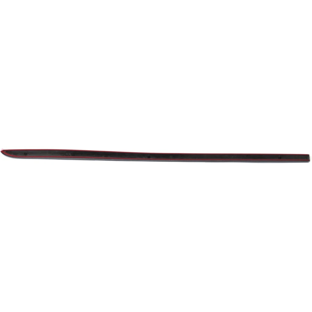 Door Molding for Dodge Grand Caravan (2003–2004)