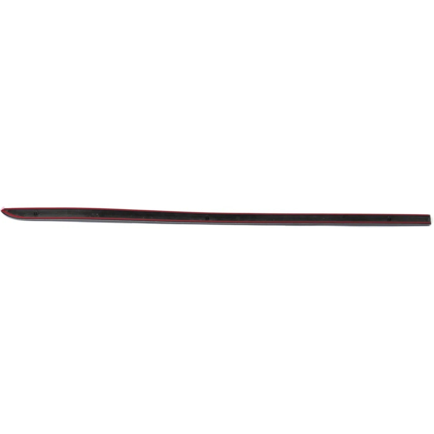 Door Molding for Dodge Grand Caravan (2003–2004)