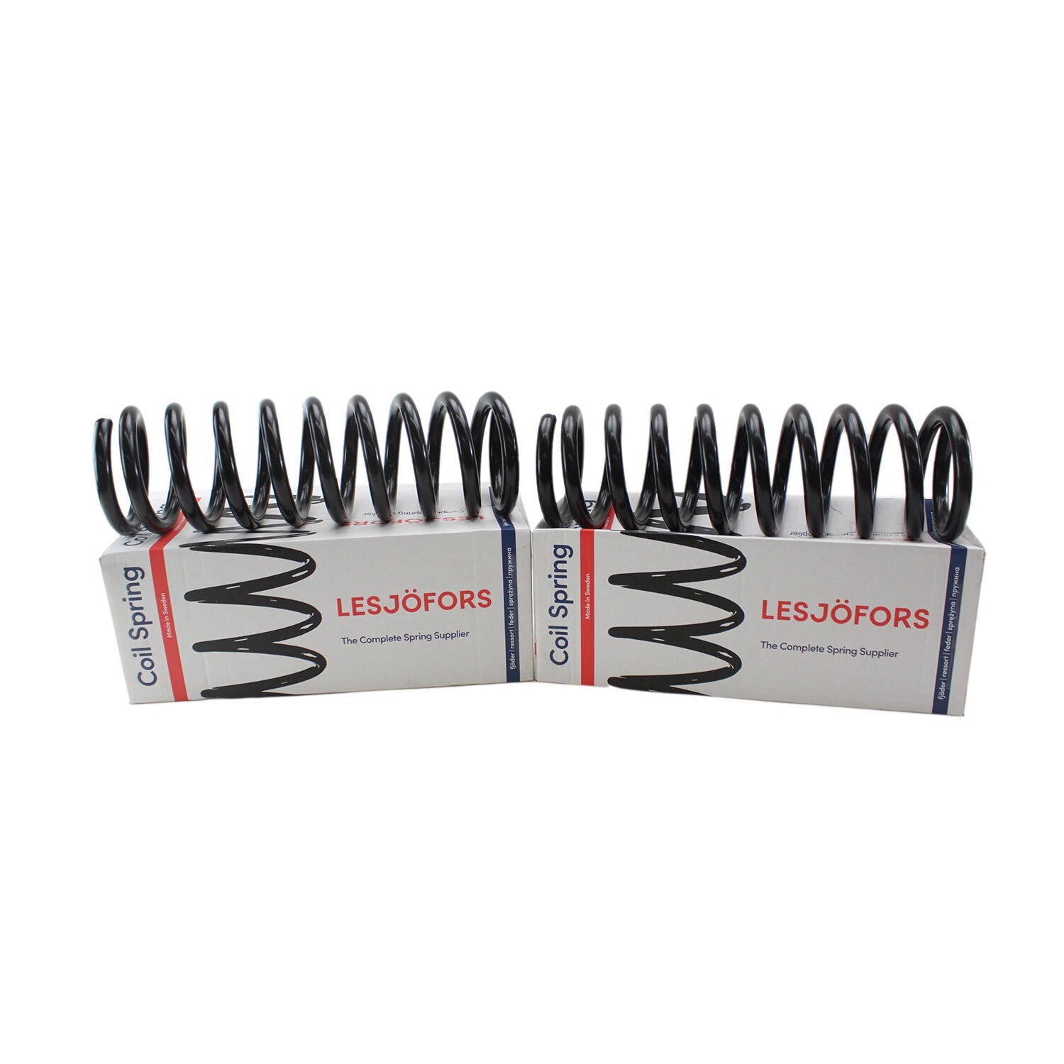 Heavy Duty Front Coil Spring Kit for Buick (4112186)