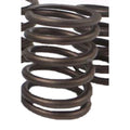 2S4213 Valve Spring for Caterpillar D343, 3116, 3126B (Industrial Models)