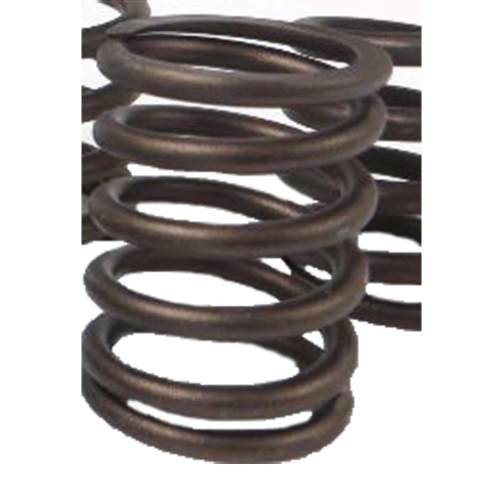 2S4213 Valve Spring for Caterpillar D343, 3116, 3126B (Industrial Models)