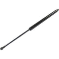 Lift Support Set for Toyota Highlander (2010–2013)