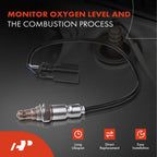 O2 Oxygen Sensor for Ford Fusion Transit-150 (2013-2020)