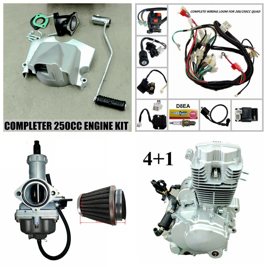 250cc Zongshen Air Cooled Engine Motor for Quad Bike (Chinese) + Carby Kit + Wiring