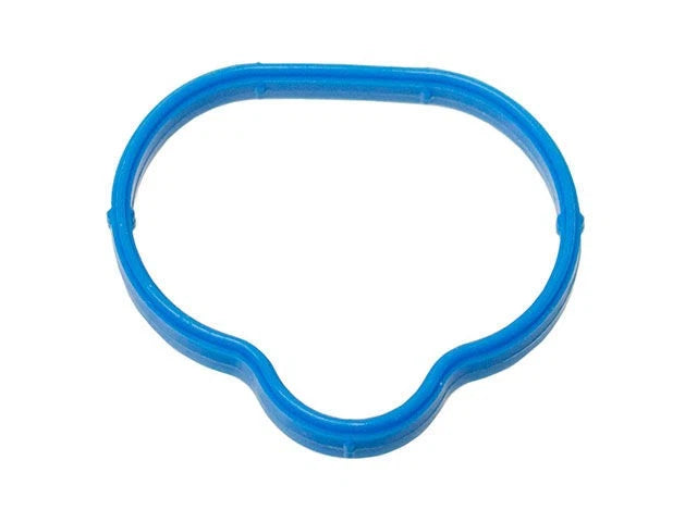 Intake Manifold Gasket for Jaguar S Type 4.0L V8 (2000–2002) CJ414CW