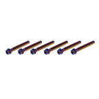 Set of 6 Titanium Torx Head Flange Screws M6x55mm for Motorcycle Bike GZ
