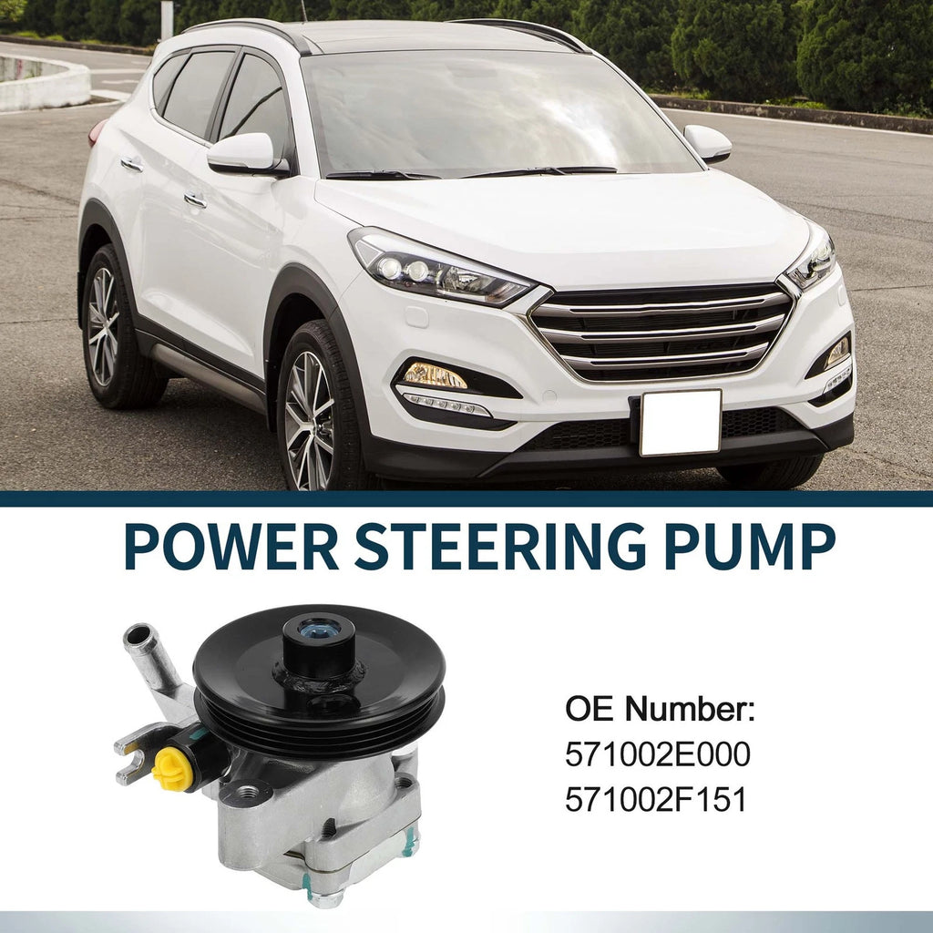 Power Steering Pump with Pulley for Hyundai Tucson (2005–2009) Kia 571002E000