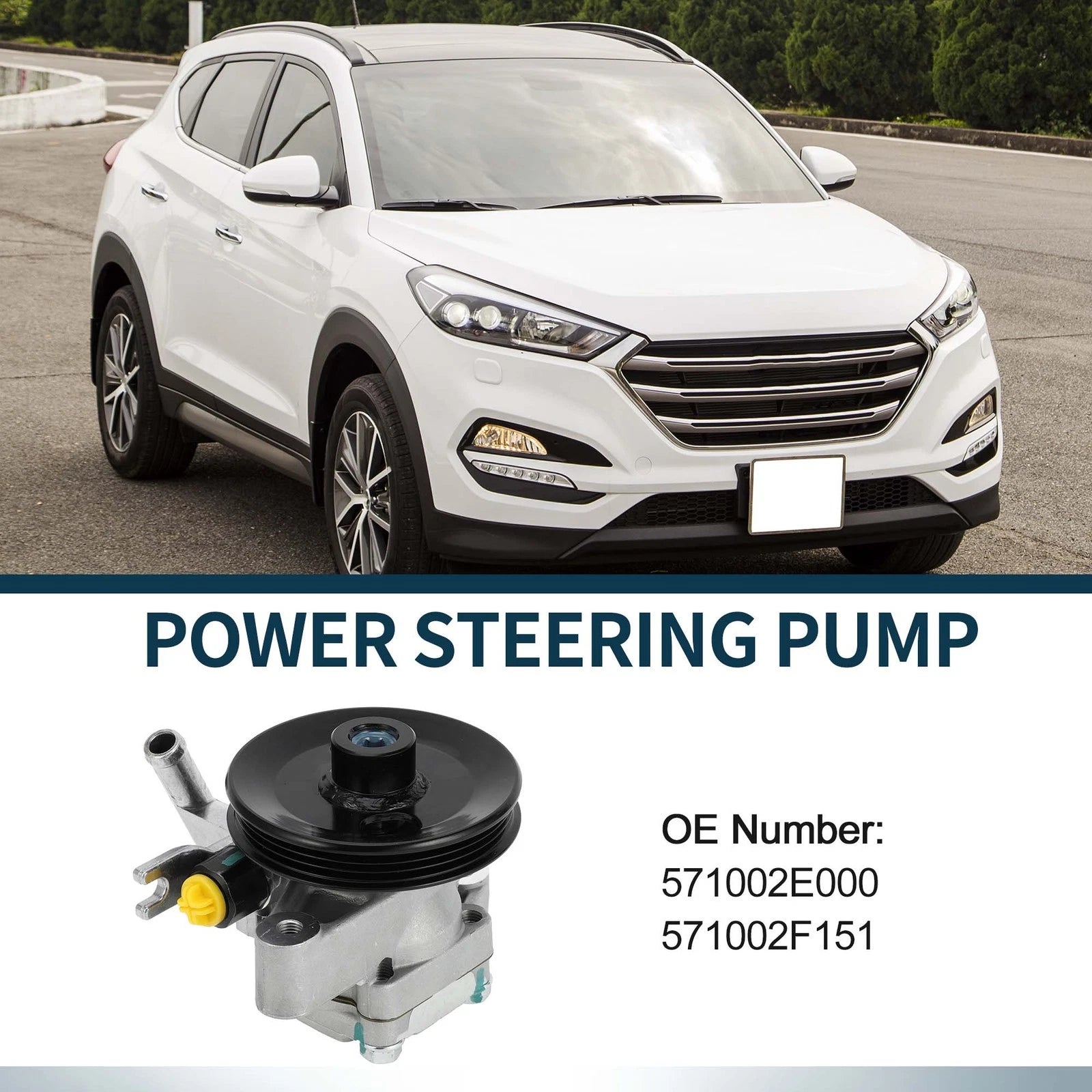 Power Steering Pump with Pulley for Hyundai Tucson (2005–2009) Kia 571002E000