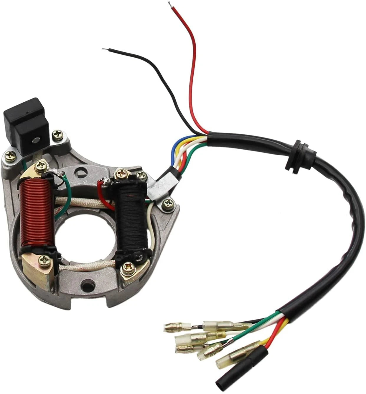 2 Coil Magneto Stator Plate for Dirt Bike 50CC 110CC 125CC (SSR, Coolster)