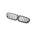 Carbon Pattern Dual Line Grille for BMW 5 Series F10 F18 (2010–2016)