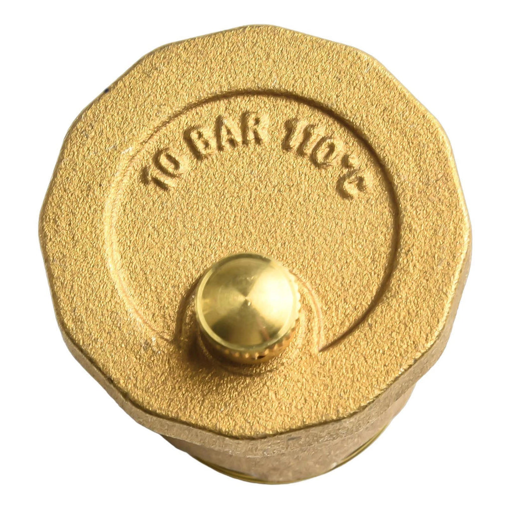 Exhaust Valve for Solar Male Thread Normal Pressure Vent Valve