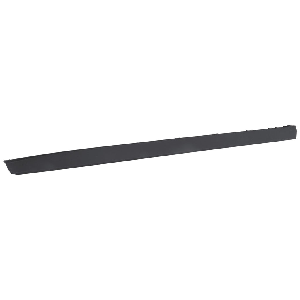 Door Molding and Beltlines Set of 2 for Driver & Passenger Side