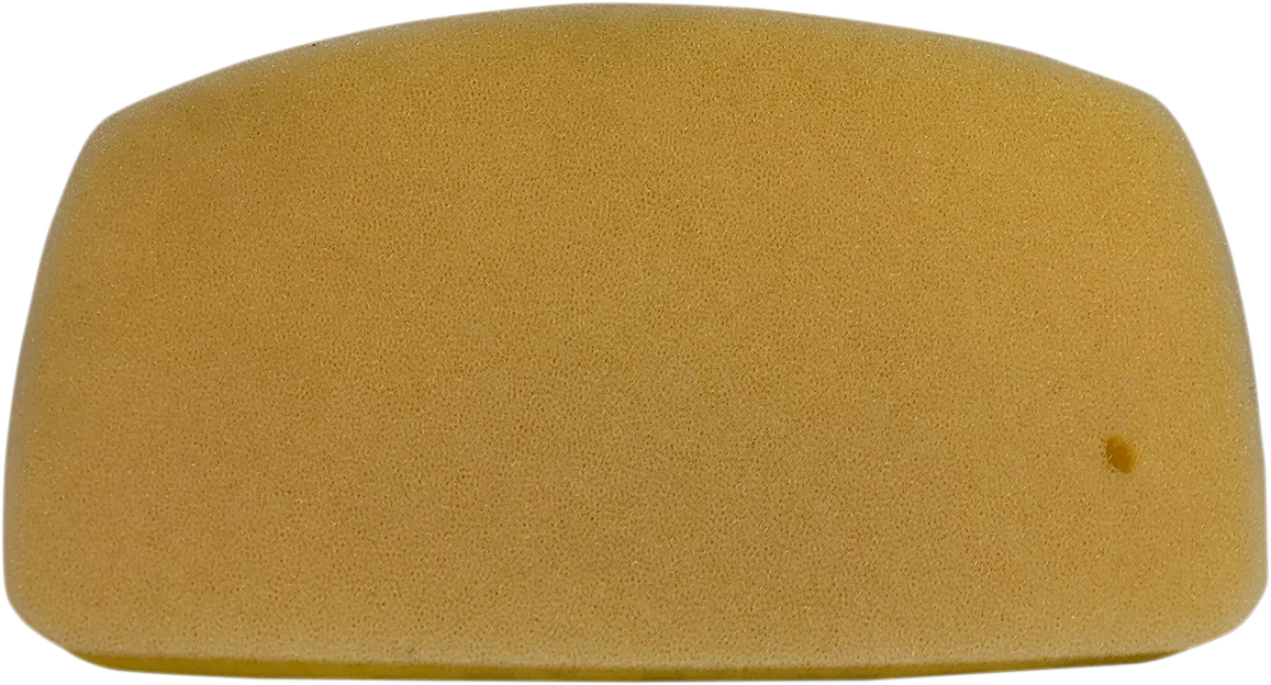 Foam Air Filter for Honda 220-12 (No Toil)