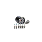 Set of 6 Iridium Power Spark Plugs & Wix Engine Oil Filter for Audi A4 A6 Quattro