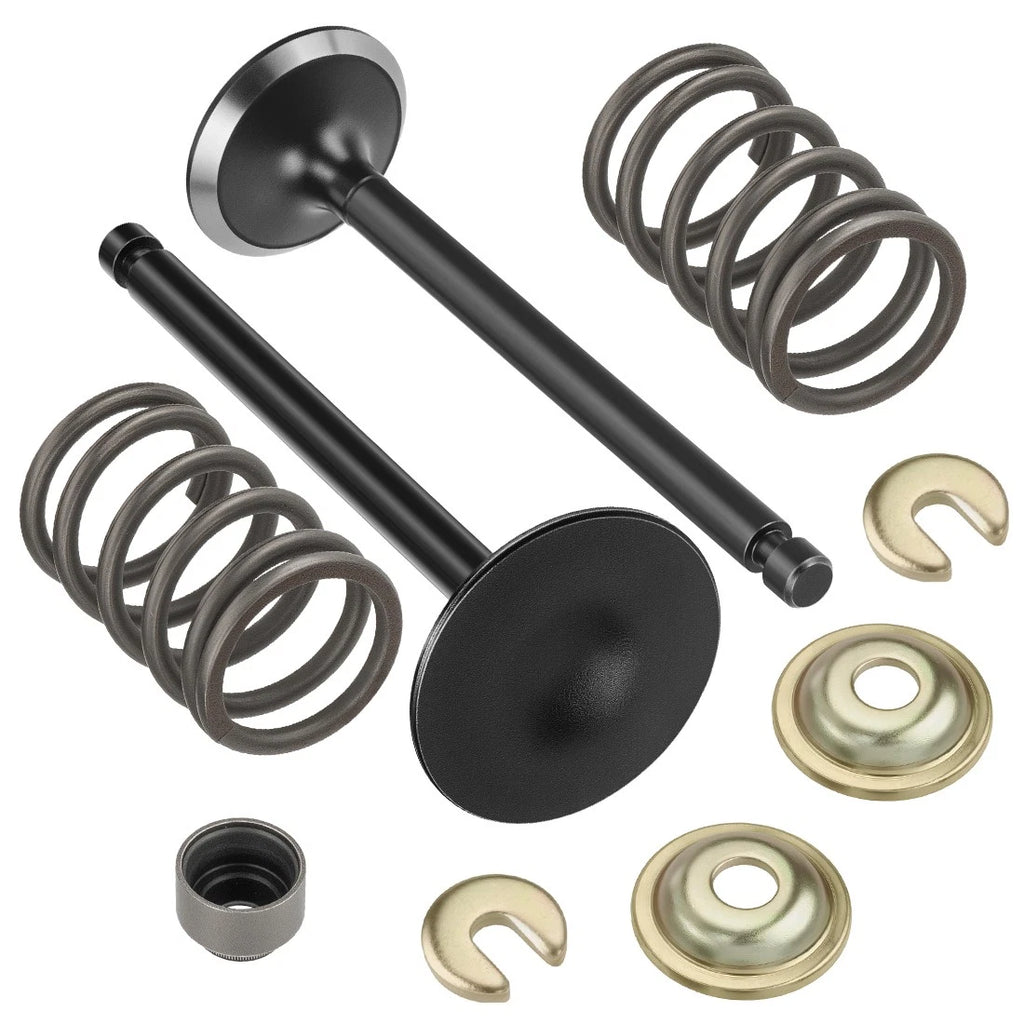 Intake & Exhaust Valve Kit with Springs & Seals for Yamaha Golf Cart G11-G21 (1995–2002)
