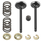 Intake & Exhaust Valve Kit with Springs & Seals for Yamaha Golf Cart G11-G21 (1995–2002)
