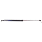 Lift Support for Lexus LS430 (2001–2006) Hood, Driver & Passenger Side