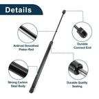 Rear Hatch Lift Supports Struts for Volkswagen Beetle (2012–2019)