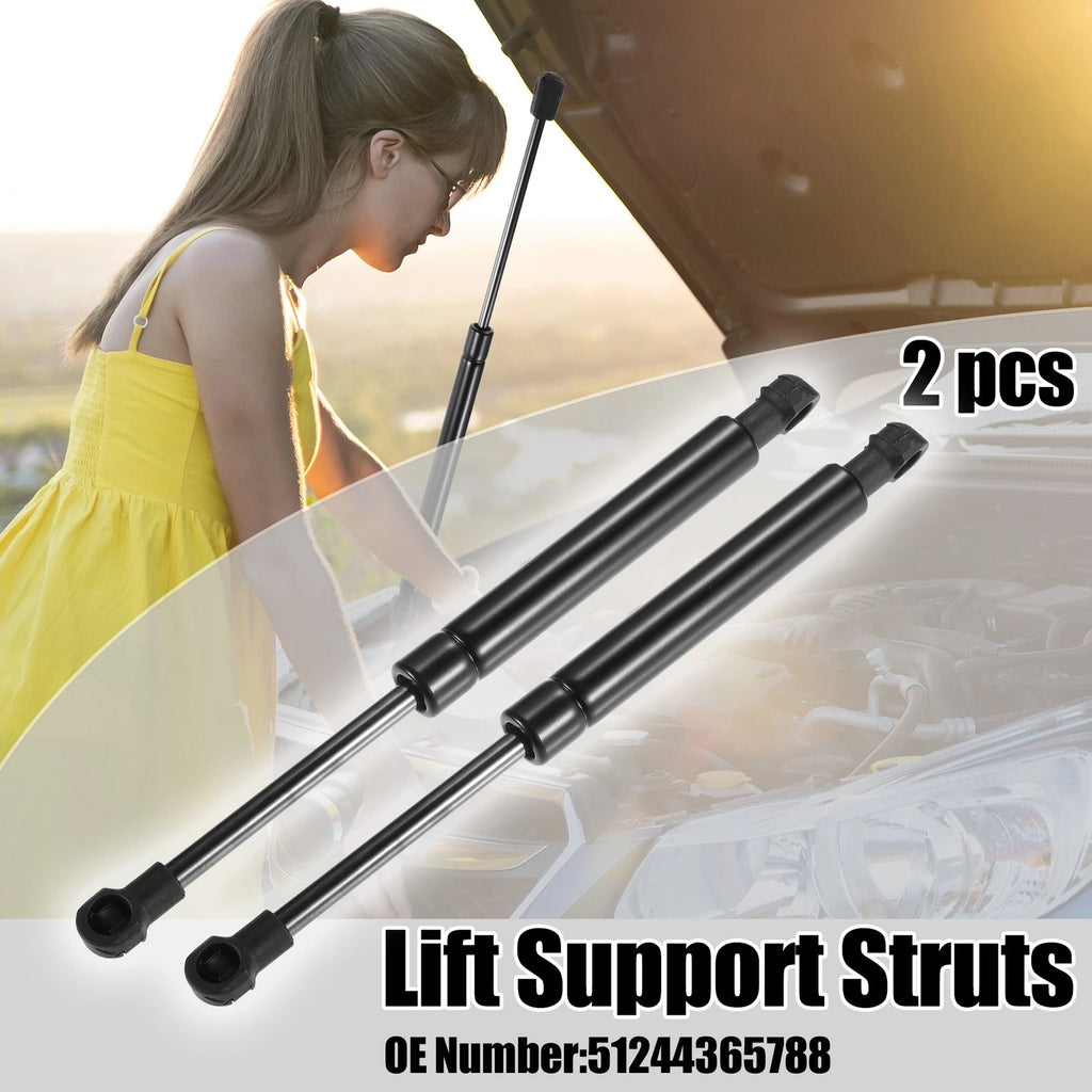 2pcs Rear Tailgate Lift Support Gas Struts for BMW 325i (2006)