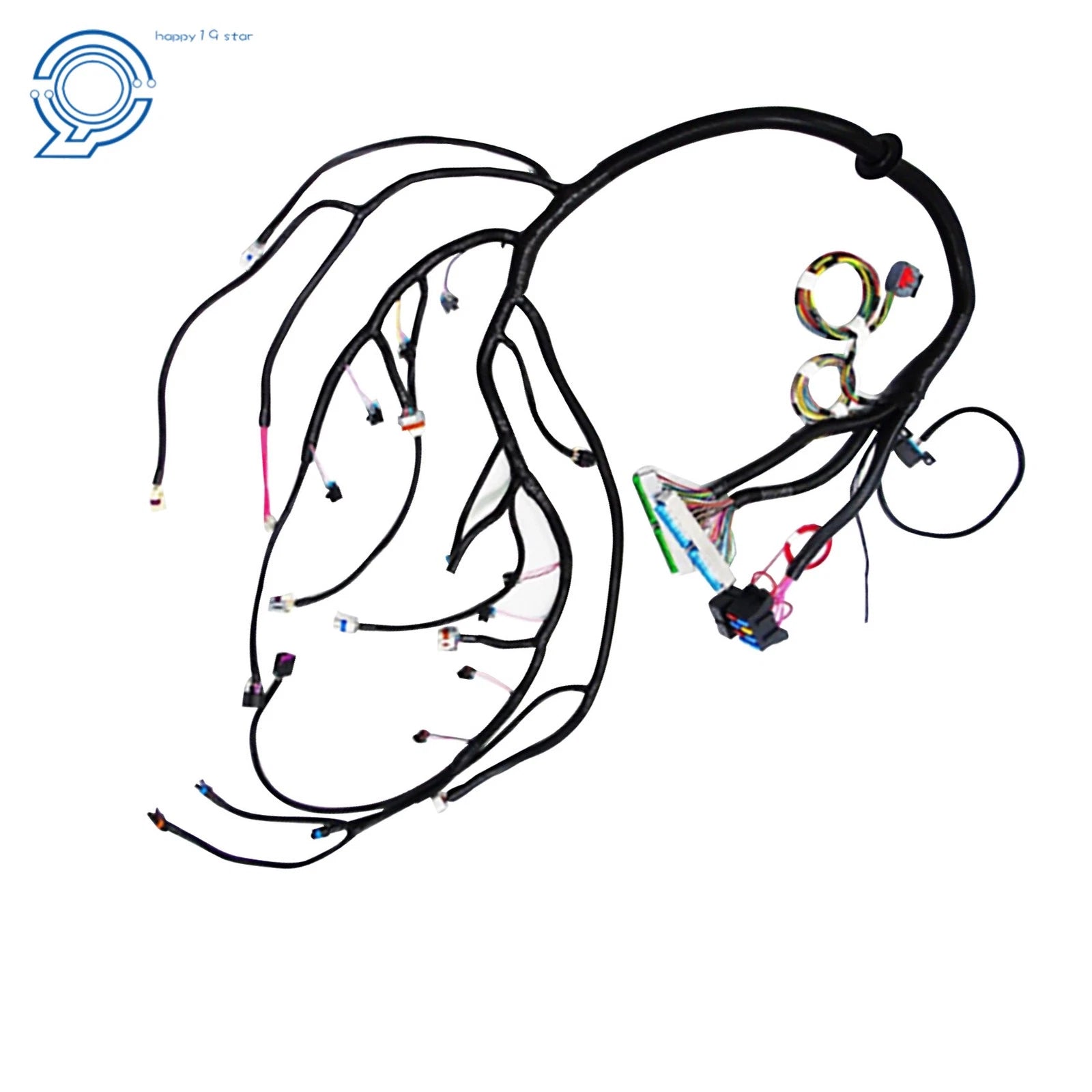 Stand Alone Wiring Harness for LS Truck (1999-2006) with T56 DBC
