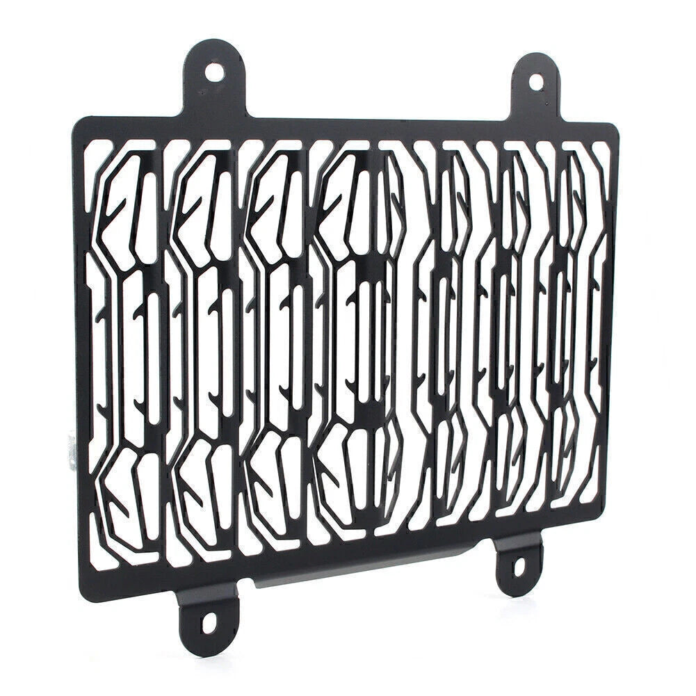 Grille Cover Guard for BMW G310R G310GS (2017–2020)