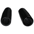 2X Rear Coil Springs for Mercedes-Benz ML320 ML350 ML430 ML500 (1998–2005)