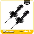 Set of 2 Premium Gas Struts for Honda (2007–2008)