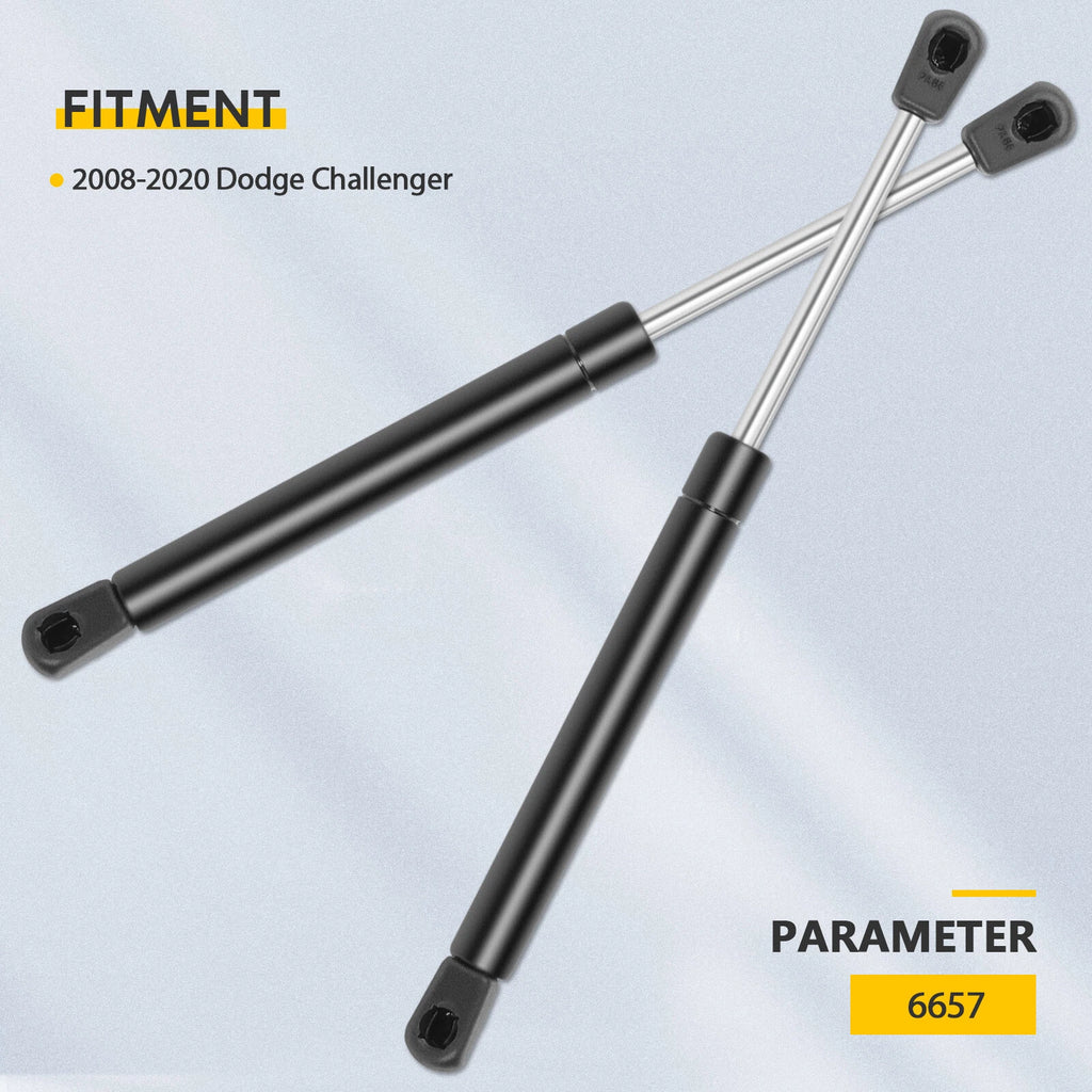 2X Rear Trunk Lift Support Struts for Dodge Challenger (2008–2020)