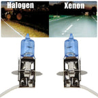Fog Light Bulb 12V 453 Socket for