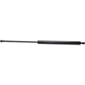 Liftgate Lift Support for Scion xB (2004–2015)
