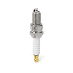 Ignition Coil Spark Plug CDI for Yamaha Timberwolf YFB250 (1992–1998)
