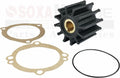 Impeller with Gasket O-Ring Kit for Sherwood 15000K, Jabsco 18327-0001-P