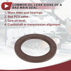 1 Pc Rear Crankshaft Oil Seal for Hyundai Elantra, Kia Forte (No. 21443-2B020)