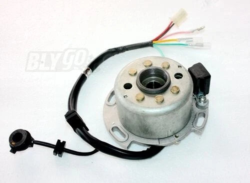 Magneto Stator Wiring Harness Loom for Lifan W150 (150cc)