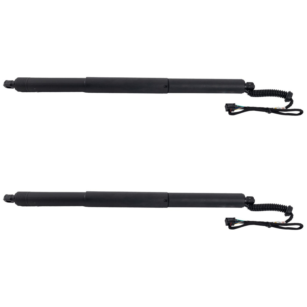 Liftgate Lift Supports Set of 2 for Audi Q3