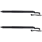Liftgate Lift Supports Set of 2 for Audi Q3