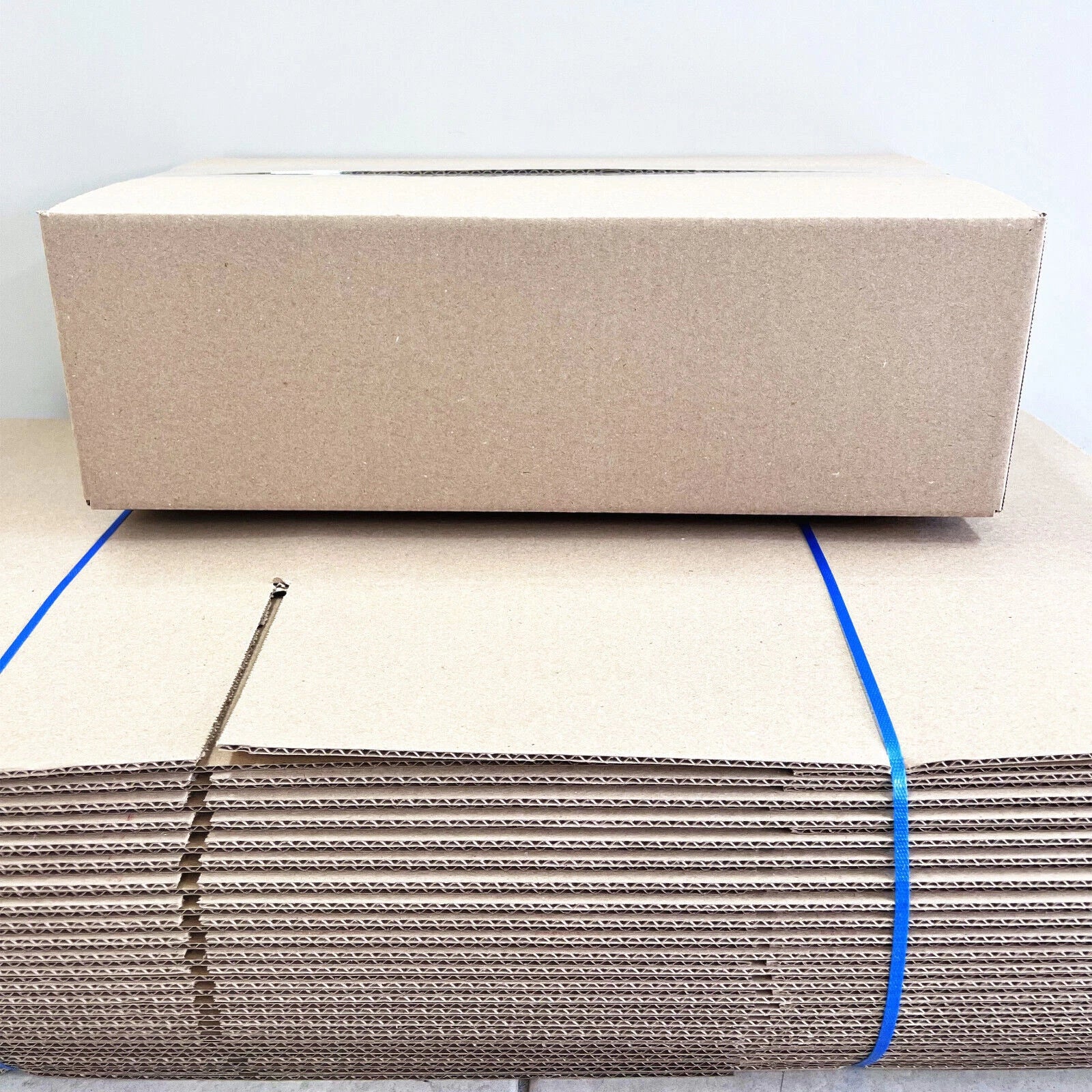 Shipping Carton Box for BX4 B4 (450 x 250 x 140mm)