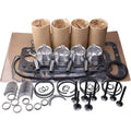 In-Frame Overhaul Rebuild Kit for Deutz F3L1011