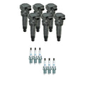 Set of 6 NGK Ignition Coils & Platinum Spark Plugs for Santa Fe Sonata (V6)