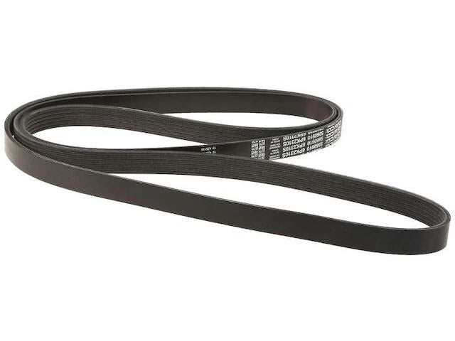 Multi Rib Belt for Jaguar XKR (2003–2009) CX248FD