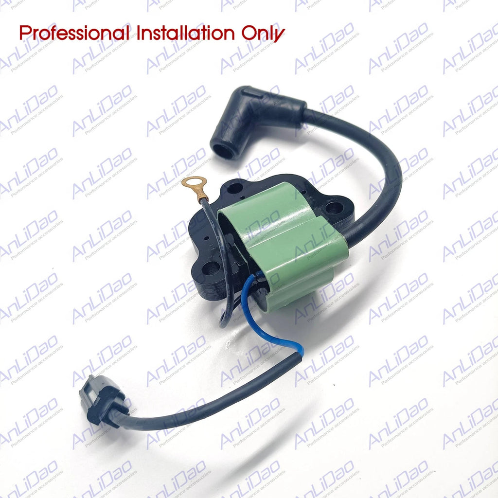 Ignition Coil for Johnson Evinrude 18 20 25 35HP (18-5172 581786 581370 502881)