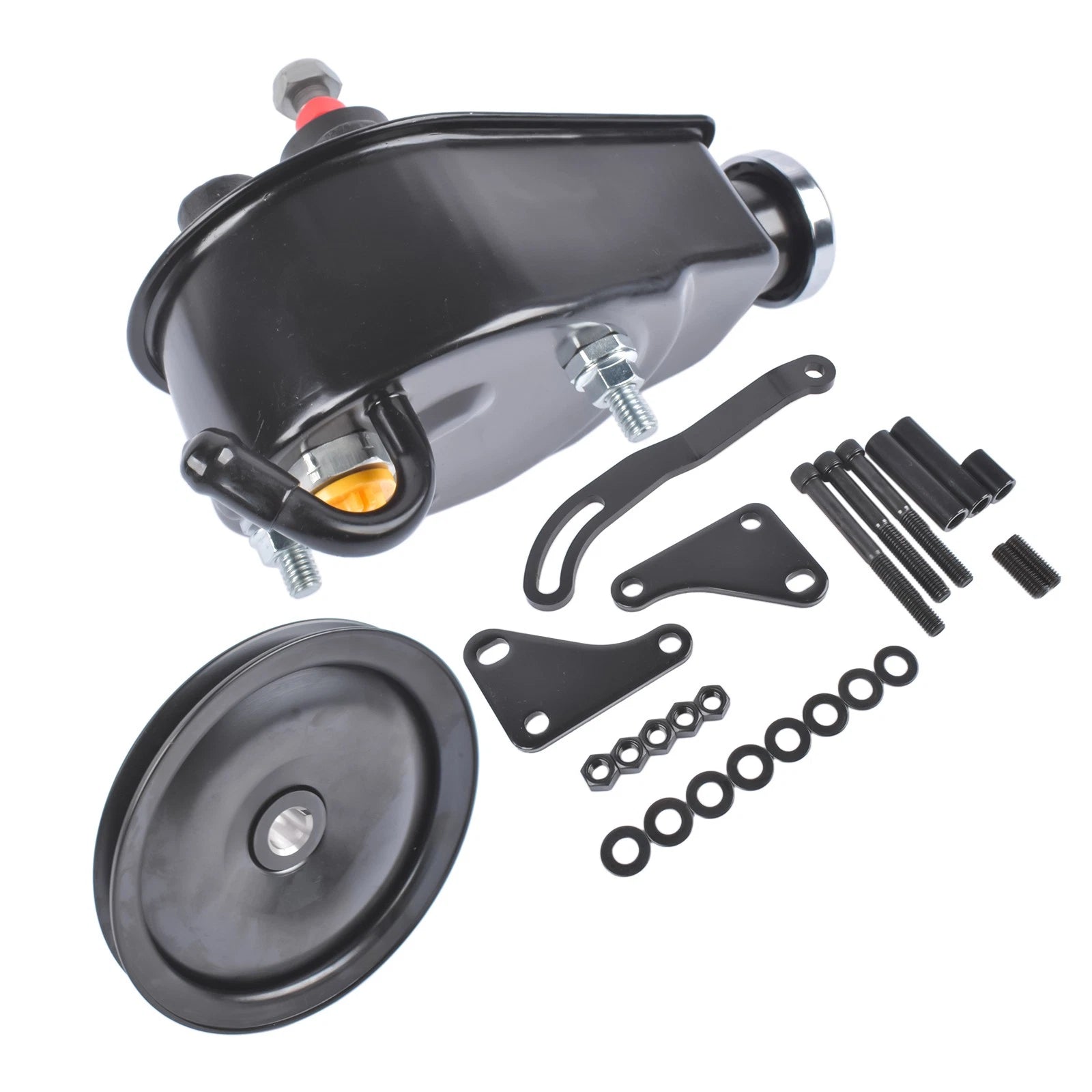 Power Steering Pump with Bracket & Pulley for Small Block Chevy Firebird